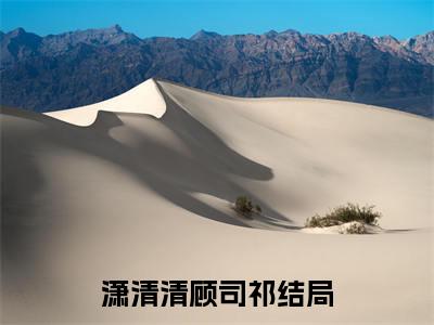 潇清清顾司祁（潇清清顾司祁）免费阅读完整版-潇清清顾司祁全文大结局已完结