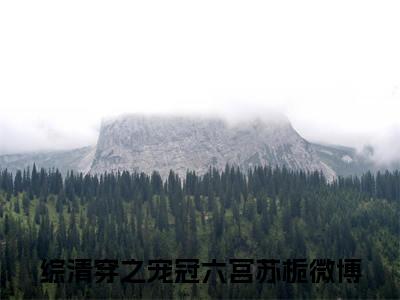 综清穿之宠冠六宫苏栀（综清穿之宠冠六宫苏栀）全文免费阅读最新章节_综清穿之宠冠六宫苏栀小说免费最新章节列表_笔趣阁