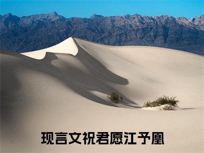 祝君愿江予凰（祝君愿江予凰）小说全文免费阅读_（祝君愿江予凰）小说全文无删减版在线阅读