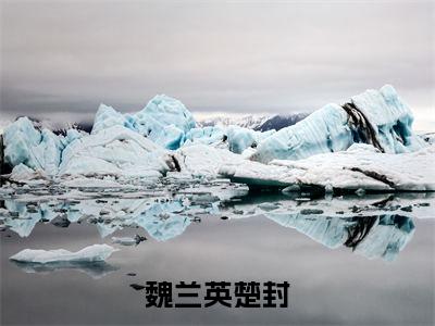 魏兰英楚封（魏兰英楚封）全文免费阅读无弹窗大结局_(魏兰英楚封小说免费阅读)_笔趣阁