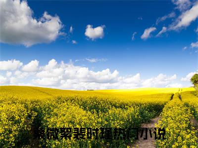 【新书】《桑微絮裴时瑾》全文免费阅读无弹窗大结局-桑微絮裴时瑾全文全章节免费阅读