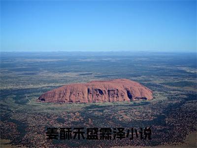 姜酥禾盛霖泽小说全文阅读-（姜酥禾盛霖泽）小说全文免费阅读无弹窗大结局