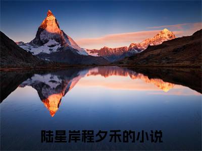 主角是陆星岸程夕禾的小说叫什么名字（陆星岸程夕禾）-完结版小说（陆星岸程夕禾）