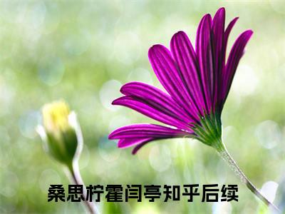 主角是桑思柠霍闫亭的小说-（桑思柠霍闫亭）完整章节阅读