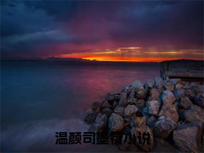 温颜司墨衍小说(温颜司墨衍)小说全文免费阅读_（温颜司墨衍）温颜司墨衍最新章节列表