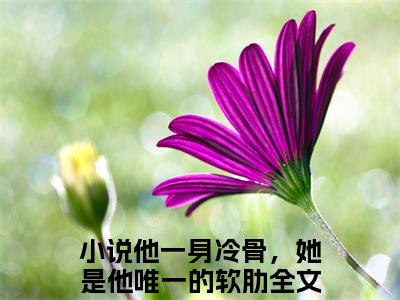苏墨言周笙（他一身冷骨，她是他唯一的软肋）全文完整版免费阅读_苏墨言周笙最新章节列表_笔趣阁（他一身冷骨，她是他唯一的软肋）
