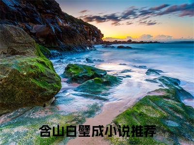 含山白璧成已完结小说《含山白璧成》在线全文阅读