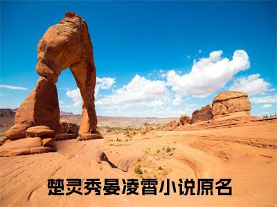 楚灵秀晏凌霄（楚灵秀晏凌霄）全文小说完整版-（楚灵秀晏凌霄）楚灵秀晏凌霄全文无删减免费阅读