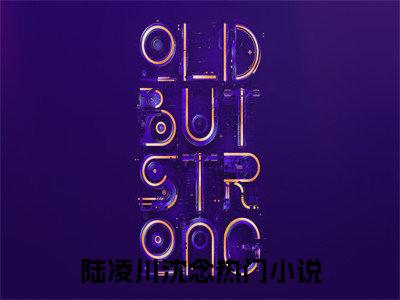（他站在深渊后续+全集）陆凌川沈念（他站在深渊）小说小说全集他站在深渊无删减在线阅读