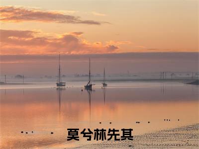 莫兮林先其免费阅读目录 莫兮林先其小说全文