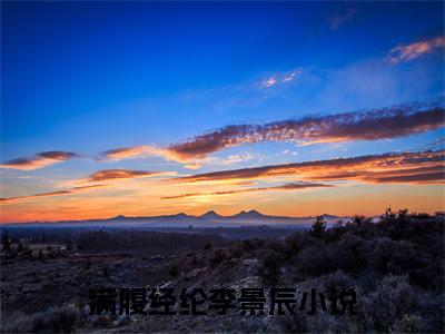 (热推新书)满腹经纶李景辰全文免费阅读无弹窗大结局-热推满腹经纶李景辰无弹窗阅读满腹经纶李景辰在线阅读