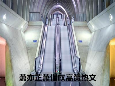 萧亦芷萧谨权（萧谨权萧亦芷小说全文）在线阅读-萧亦芷萧谨权全文免费阅读大结局