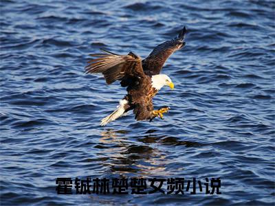 霍铖林楚楚全文免费阅读-（霍铖林楚楚）小说全文免费阅读正版无弹窗