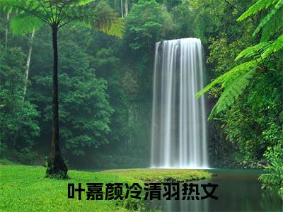小说完整版叶嘉颜冷清羽大结局-叶嘉颜冷清羽是什么书《叶嘉颜冷清羽》
