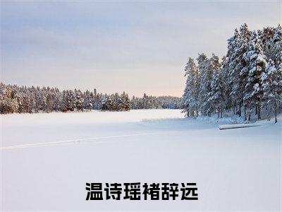 温诗瑶褚辞远多人追免费无弹窗小说，温诗瑶褚辞远已完结全集大结局