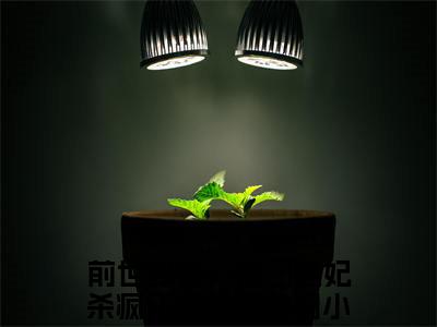 前世毁容，涅槃医妃杀疯了宋琬清全文免费阅读_（前世毁容，涅槃医妃杀疯了宋琬清小说）前世毁容，涅槃医妃杀疯了宋琬清言情小说在线阅读笔趣阁