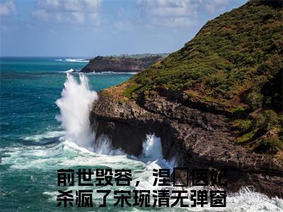 好看的小说推荐前世毁容，涅槃医妃杀疯了宋琬清 前世毁容，涅槃医妃杀疯了宋琬清全文试读免费大结局
