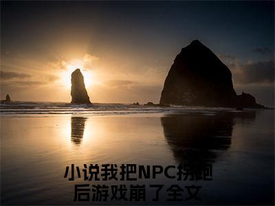 我把NPC拐跑后游戏崩了（苏意沈慕白）小说大结局免费阅读（苏意沈慕白）-完结版我把NPC拐跑后游戏崩了小说推荐