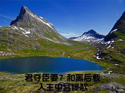 易欢晋渊（君夺臣妻？和离后我入主中宫）全文免费阅读无弹窗大结局_（君夺臣妻？和离后我入主中宫）免费阅读无弹窗最新章节列表