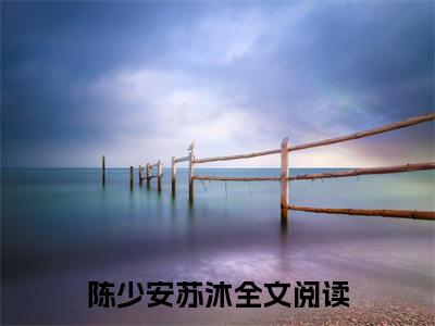 陈少安苏沐是啥小说 陈少安苏沐免费阅读无广告