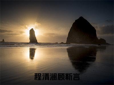 程清澜顾靳言（程清澜顾靳言）小说全文免费阅读无弹窗-程清澜顾靳言全章节在线阅读