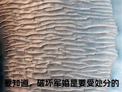 （要知道，破坏军婚是要受处分的抖音小说）夏唯安江彦词小说全文阅读免费