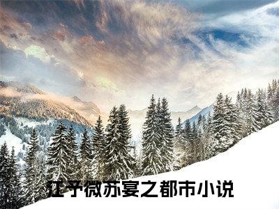 小说推荐江予微苏宴之精彩章节全文阅读-（江予微苏宴之）新书热荐免费小说