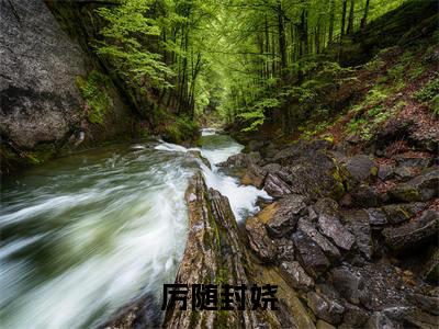 厉随封娆(厉随封娆)全文在线阅读无弹窗大结局_厉随封娆全文无弹窗最新章节列表_笔趣阁