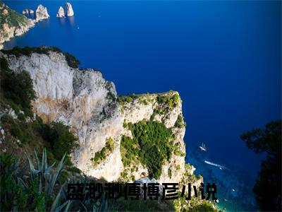 (番外)+(全文)盛渺渺傅博彦小说免费下载阅读_(盛渺渺傅博彦)盛渺渺傅博彦最新章节列表_笔趣阁（盛渺渺傅博彦）