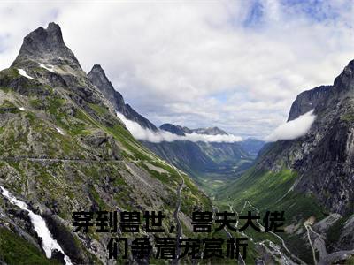 冷月汐熤成小说全文（穿到兽世，兽夫大佬们争着宠）精选免费小说_冷月汐熤成小说全文最新章节列表