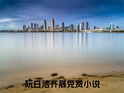 阮白洁齐晟（阮白洁齐晟txt）全文免费阅读无弹窗大结局_阮白洁齐晟最新章节列表_笔趣阁（阮白洁齐晟txt）