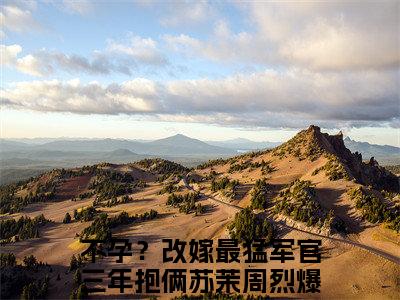 不孕？改嫁最猛军官三年抱俩苏茉周烈小说全文-不孕？改嫁最猛军官三年抱俩苏茉周烈小说不孕？改嫁最猛军官三年抱俩苏茉周烈免费阅读大结局