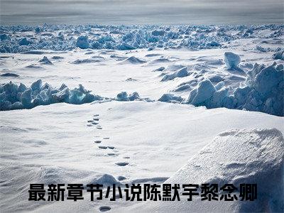 陈默宇黎念卿全文免费无弹窗大结局_ 陈默宇黎念卿免费陈默宇黎念卿最新章节列表_笔趣阁