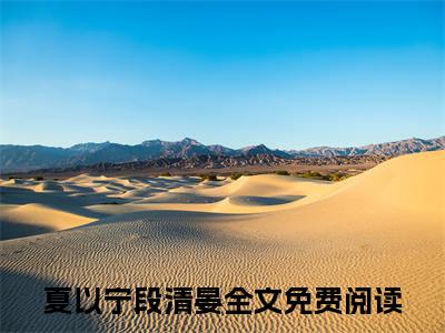 主人公叫夏以宁段清晏的小说夏以宁段清晏哪里免费看