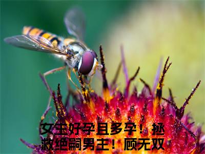 女主好孕且多孕！拯救绝嗣男主！顾无双（女主好孕且多孕！拯救绝嗣男主！顾无双）小说全文免费阅读无弹窗_（女主好孕且多孕！拯救绝嗣男主！顾无双）小说全文免费阅读_最新章节列表_笔趣阁