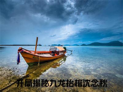开局揭秘九龙抬棺沈念秋全文免费阅读无弹窗，开局揭秘九龙抬棺沈念秋小说最新章节列表无删减_笔趣阁