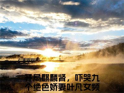 开局麒麟肾，吓哭九个绝色娇妻叶凡（开局麒麟肾，吓哭九个绝色娇妻叶凡）小说全文完整版免费阅读-开局麒麟肾，吓哭九个绝色娇妻叶凡小说最新章节免费阅读