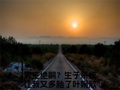 男主绝嗣？生子系统让我又多胎了叶婉欣小说全文免费阅读-男主绝嗣？生子系统让我又多胎了叶婉欣精选小说大结局阅读