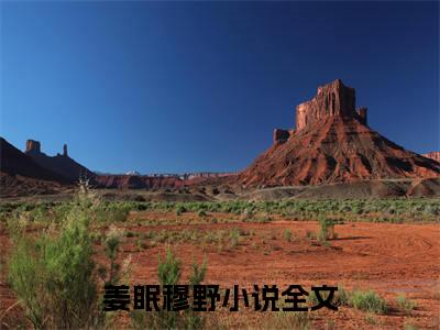 姜眠穆野后续+番外（姜眠穆野）全文免费阅读无弹窗大结局_姜眠穆野后续+番外免费阅读_笔趣阁（姜眠穆野后续+番外）
