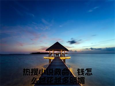 救命，钱怎么越花越多明媚全文免费阅读无弹窗大结局，救命，钱怎么越花越多明媚小说精彩免费试读