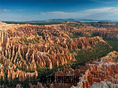 桑挽谢西洲「精彩小说」无弹窗阅读 桑挽谢西洲大结局阅读