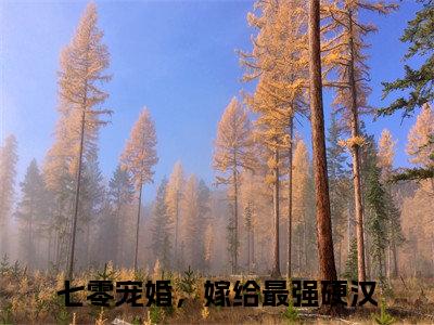 （后续）+（全文）（七零宠婚，嫁给最强硬汉）林念傅秋石精彩小说-七零宠婚，嫁给最强硬汉全章节免费阅读