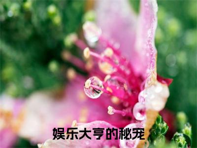 安沐封枭的小说（娱乐大亨的秘宠）免费阅读_安沐封枭小说免费阅读-笔趣阁