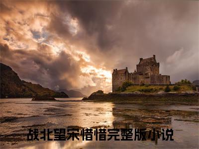 战北望宋惜惜免费小说（战北望宋惜惜）全本免费阅读-战北望宋惜惜最新章节列表