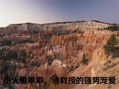 伽浅傅严琛(小人鱼乖乖，傅教授的强势宠爱)免费全文阅读小说_伽浅傅严琛最新章节列表-笔趣阁（小人鱼乖乖，傅教授的强势宠爱）