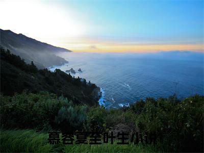 慕容夏至叶生(慕容夏至叶生）全文免费阅读无弹窗大结局_(慕容夏至叶生全文阅读）慕容夏至叶生最新章节列表_笔趣阁（慕容夏至叶生）