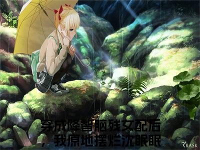 穿成降智脑残女配后，我原地摆烂沈眠眠全文免费阅读-最火热点小说最新更新