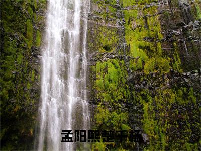 孟阳熙楚千杨的小说免费阅读（孟阳熙楚千杨小说免费阅读）全文免费阅读大结局-孟阳熙楚千杨热门榜单好书推荐