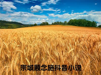 宗城顾念施（宗城顾念施小说全文）在线阅读无弹窗大结局-宗城顾念施全文无删减版阅读