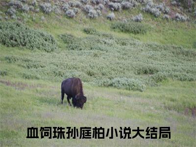 血饲珠孙庭柏全文免费阅读无弹窗大结局_（血饲珠孙庭柏）全文在线阅读大结局